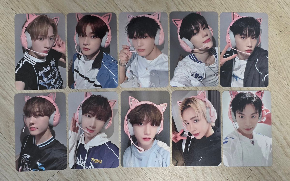 senrorin's tweet photo. xikers discord kitten pcs 😨 https://t.co/YvMZKVl35k