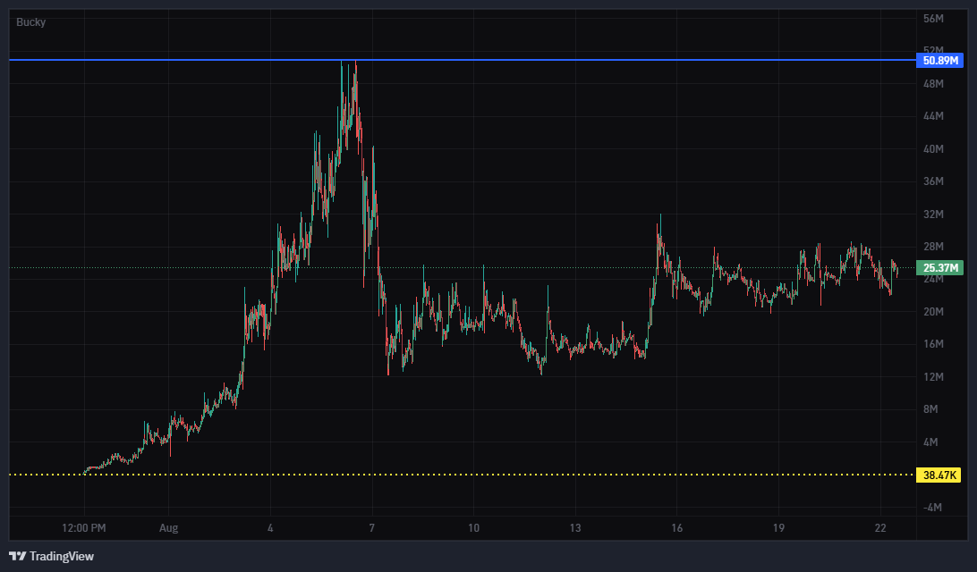 VectRast tweet media