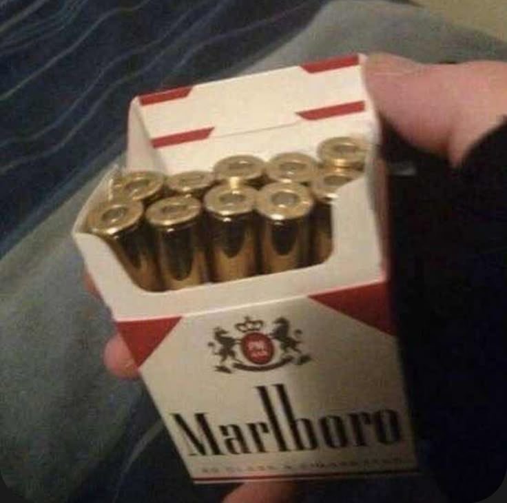 elpepodechil (@elpepodechil) on Twitter photo 