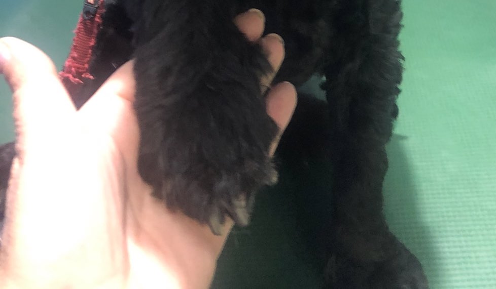 «Ποτέ δεν πεθαίνει κάτι…. που ξεκινάει από την καρδιά…..»🥺😢