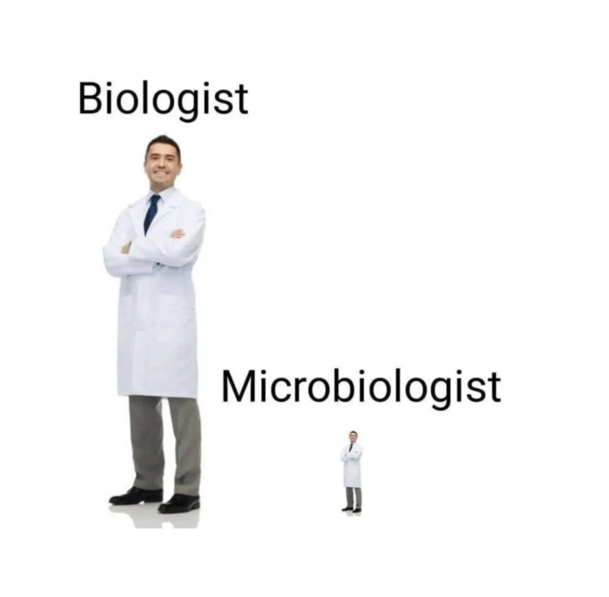 من يسأل ماهو الفرق بين أحياء عام وأحياء دقيقة 
والله تضحك 😂🏃