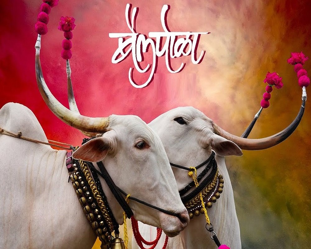 सण गावच्या मातीचा... 

बैलपोळा सणाच्या हार्दिक शुभेच्छा..🙏🌺🌿