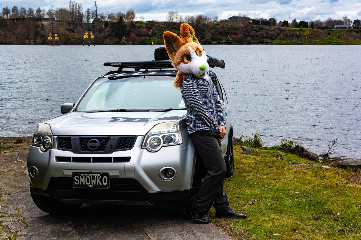Paeroa (KiwiWolf)🇳🇿 tweet media