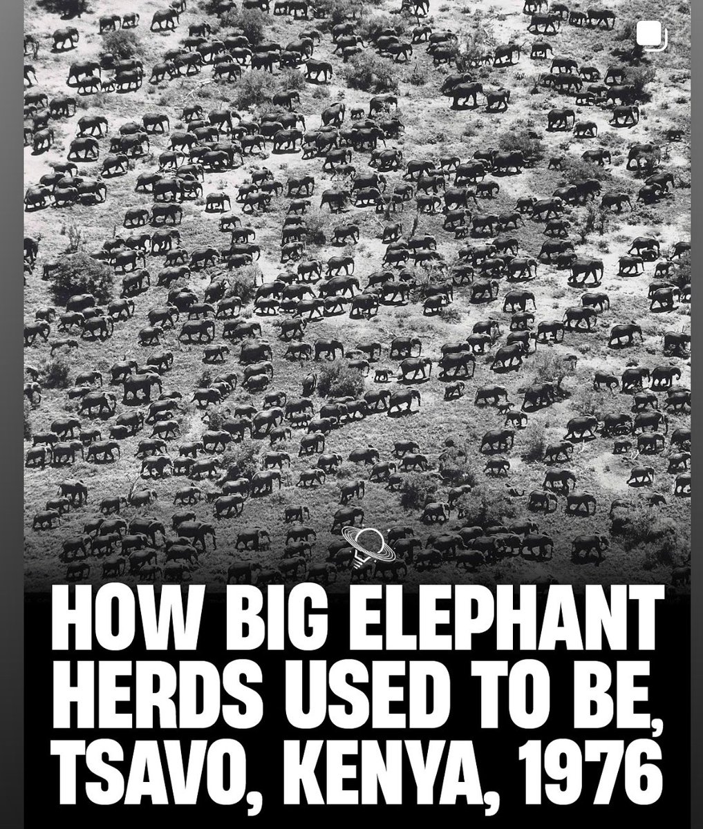 Just imagine one person changed this.