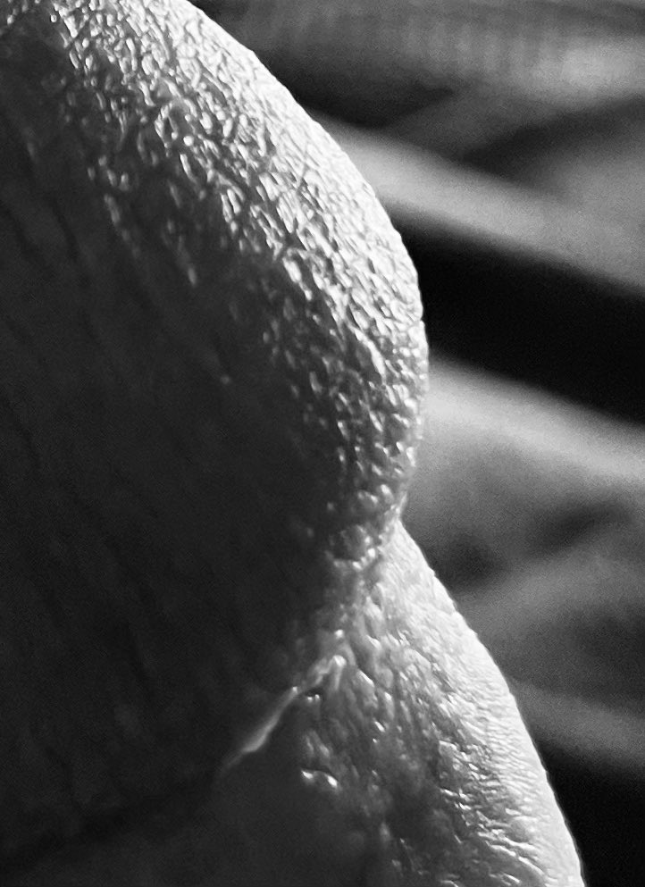DannyEscapez's tweet photo. 🤫 https://t.co/CfSyA0XlWx
