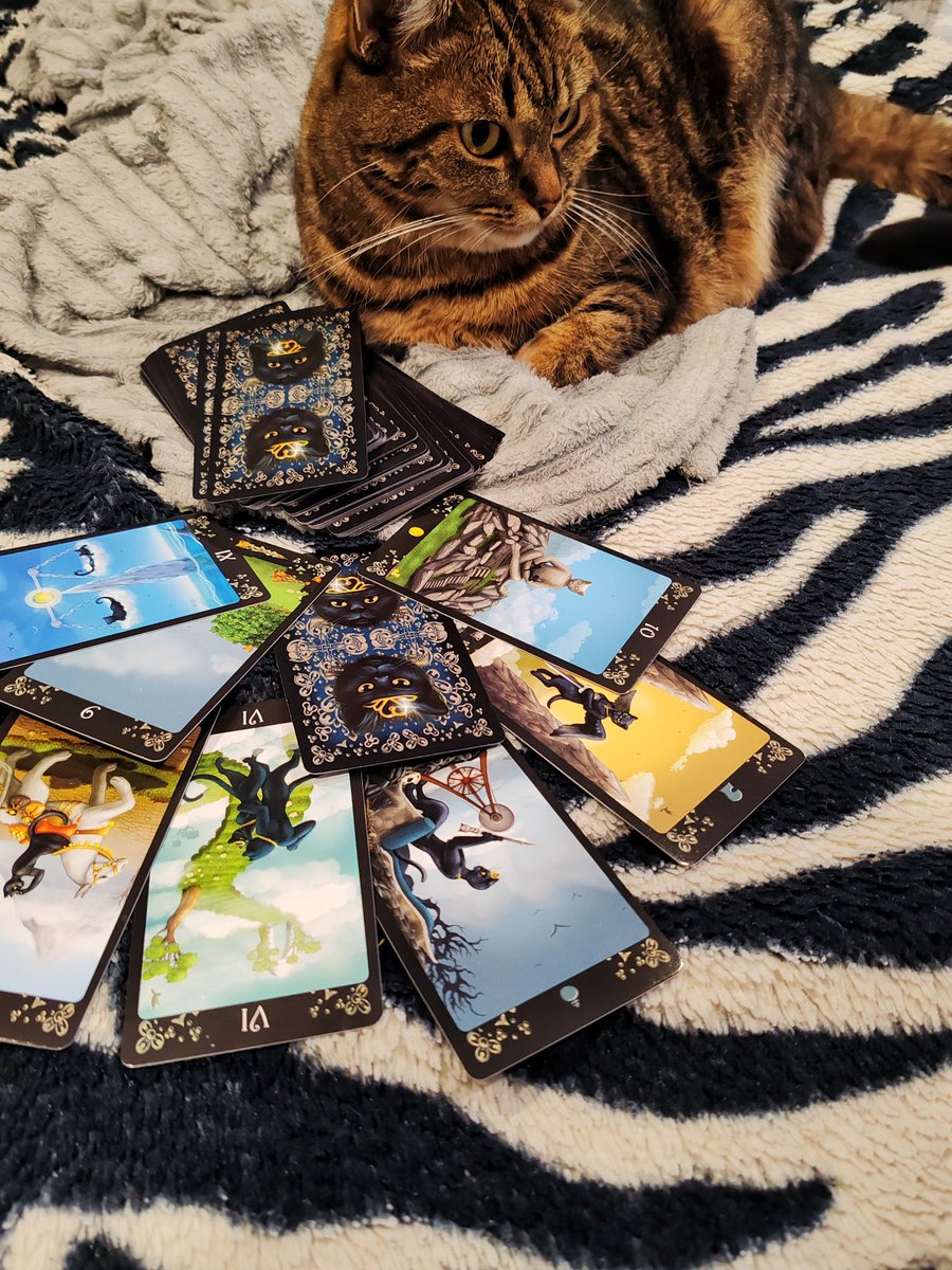Сегодня гадаем на Таро по
"Черным котам"

Вы мне номер карты, я вам предсказание. 

Гадаю только тем, кто на меня подписан ❌ 

Поехали, коты 😻