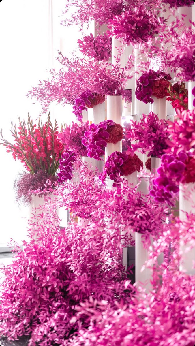 Heureux Anniversaire Stiven 🎂 🎁 <a href="/Stiven32midy/">Pi Wouye Pi Koupe</a> 🌹
💙