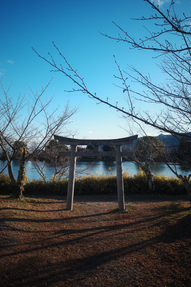 GadgetMitchy's tweet photo. ちなみに、こんな感じの写真が撮れます。 https://t.co/wp75vcXls1
