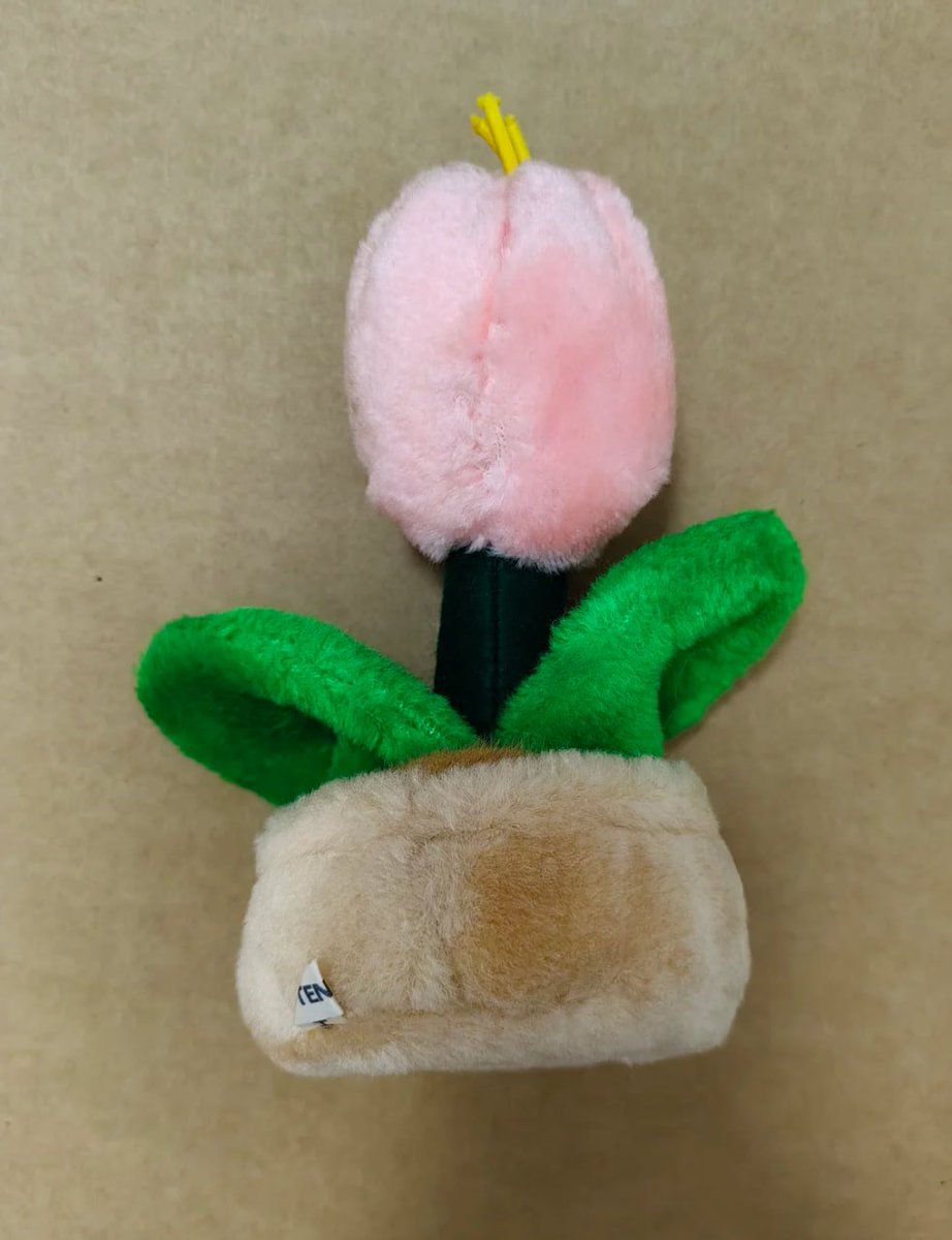 baofu00MC's tweet image. 今日はピンクのチューリップの鉢植えを買いました🌷