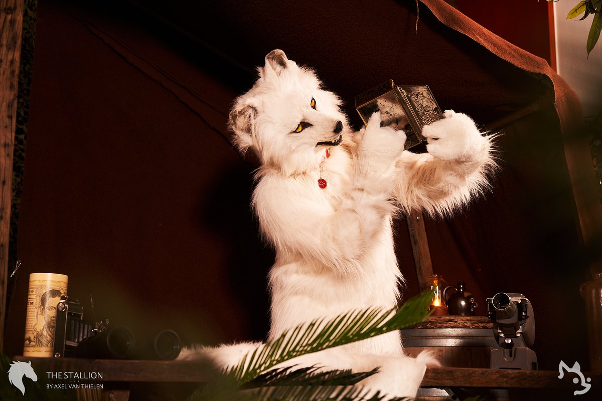 Happy #FursuitFriday in my <a href="/witlupus/">Witlupus 🇳🇱 🇩🇪 🔜 EF 🇩🇪</a> suit

✂️ <a href="/CopperSprite/">The Razzle to his Dazzle</a>
📸 <a href="/AxelTheStallion/">axelthestallion➡️☁️</a>
🗓 06.08.2023
🏨 #mercure city south
🏙 #Antwerp 🇧🇪
🦊 <a href="/reffurence/">Reffurence</a>
🎩 <a href="/Refferic/">Refferic the Coyote</a>

#RFR1 #RFR2023 #Fursuit #Furry #Wolf #Reffurence #BerkWolf #Berk

Follow my Berk-News (TG):
t.me/Berk_News