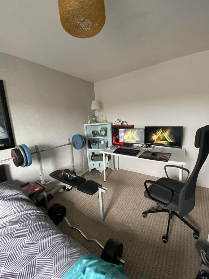 The ideal male living conditions.

Everything you need to level up and make 7 figs.