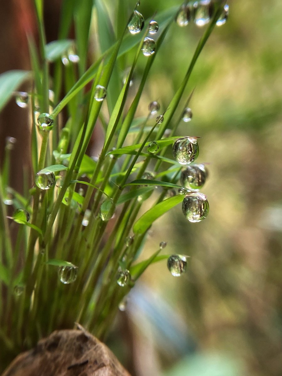 Good morning and a beautiful Friday to you!