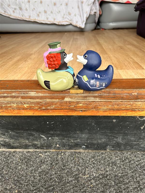 Ticketer_UK's tweet photo. Itβs the school holidays, which means finding new ways to keep the kids entertained - and even Billβs getting involved! π¦
We recently spotted #BillintheWild camping at Henlow Bridge Lakes, Hertfordshire. Where will he travel to next? π²β¨
#BilltheTicketerDuck #Ticketer https://t.co/UJPE3AzoFn
