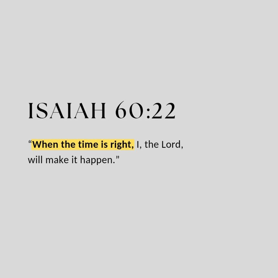 Bible 365 tweet media