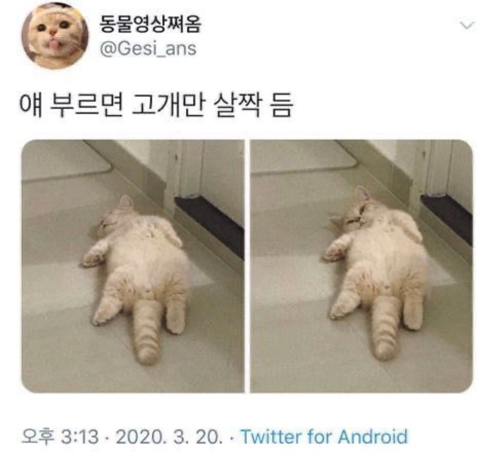 cheese30per's tweet photo. 노아 부르면 고개만 살짝 듬 https://t.co/biMGyzuYYY