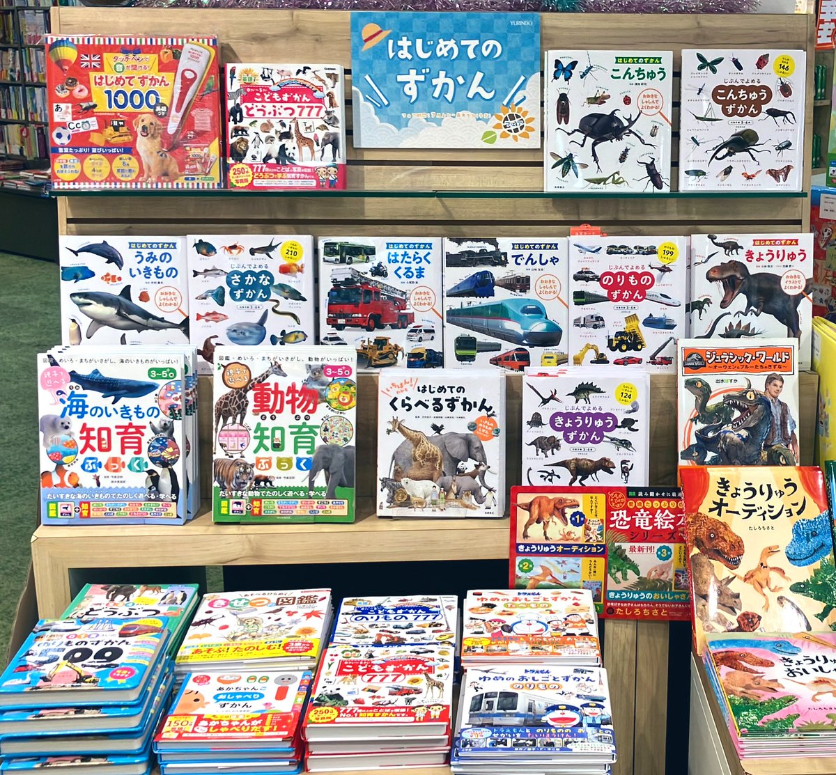 【児童書】
☀️はじめてのずかんフェア👒
好奇心がめばえはじめた小さいお子さま向けのずかんを集めました🌟
本格的な図鑑の前の導入にぜひオススメです🎈
#朝日新聞出版　#KADOKAWA
#Gakken #主婦の友社
#小学館　#成美堂出版
#高橋書店　#ポプラ社