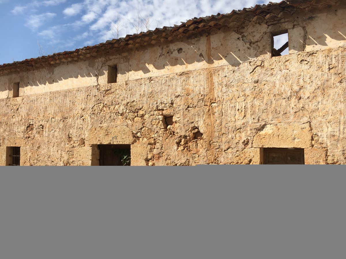 culturaliquidaf's tweet photo. El #vino es herencia, diversidad y territorio. Refleja épocas, tradiciones y #culturas. Pero también es desarrollo científico y técnico que ha permitido transformar una práctica ancestral en una materia innovadora. 🍇🍷 https://t.co/eTV4ws9te9