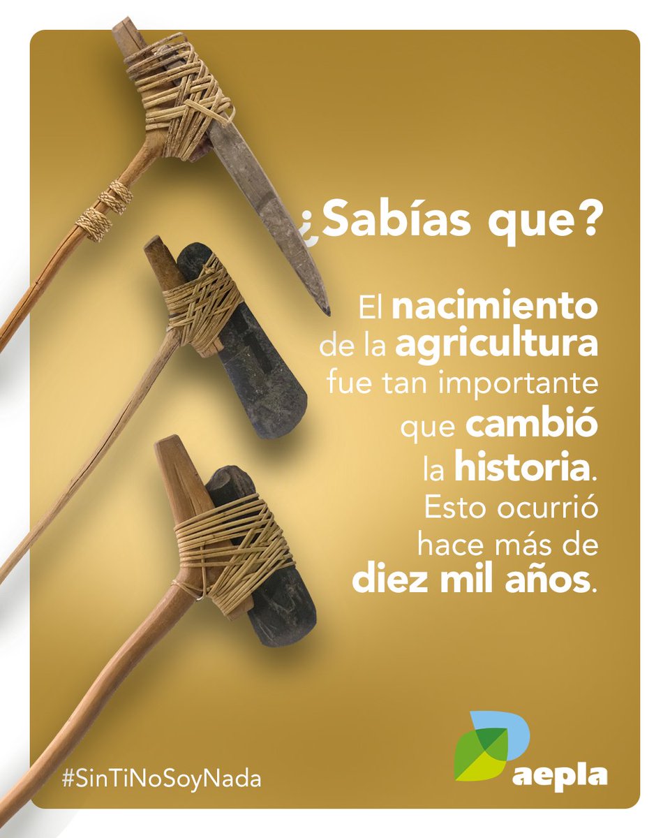 La aparición de la agricultura 🌱 es equiparable al descubrimiento del fuego, el invento de la rueda o la revolución tecnológica en nuestros días.

Aseguró, y sigue asegurando, nuestro abastecimiento alimentario.