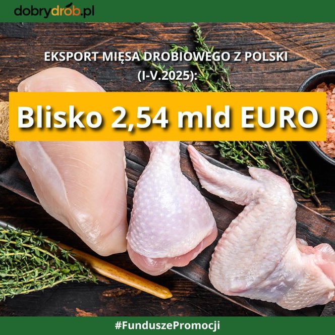 🐓❗️🐓❗️🐓🇵🇱🇵🇱🇵🇱
⬇️⬇️⬇️