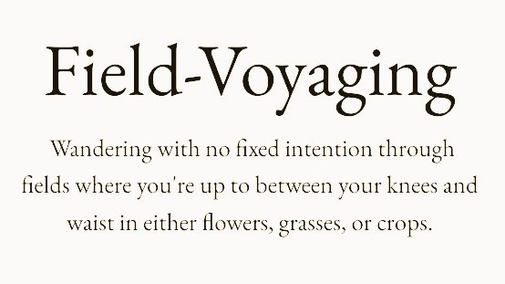 arealmofwonder's tweet photo. Words for the Weekend 🥳 

Pick your winner ⭐️

A B
C D

(Stay blessed 🙏) https://t.co/pA8iEPtO2A