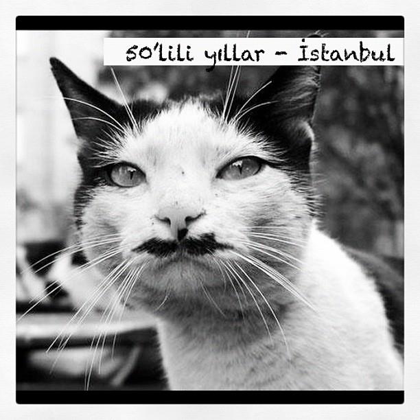 βℓ๏ǥ ๏Ŧ ๏ƶǥยя (@blogofozgur) on Twitter photo 