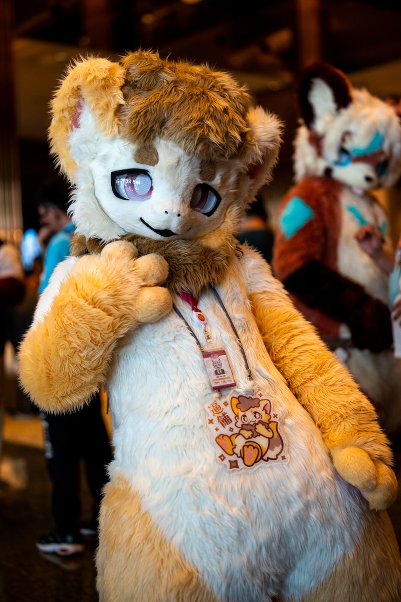 迷惑生物悠無君 tweet media