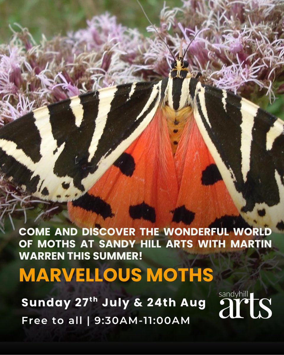 Martin Warren (@martinswarren) on Twitter photo Last Marvellous Moths event at <a href="/sandyhillarts/">Sandy Hill Arts</a> in Corfe Castle this Sunday 9:30-11:00. Do come along if you live nearby Last Marvellous Moths event at <a href="/sandyhillarts/">Sandy Hill Arts</a> in Corfe Castle this Sunday 9:30-11:00. Do come along if you live nearby