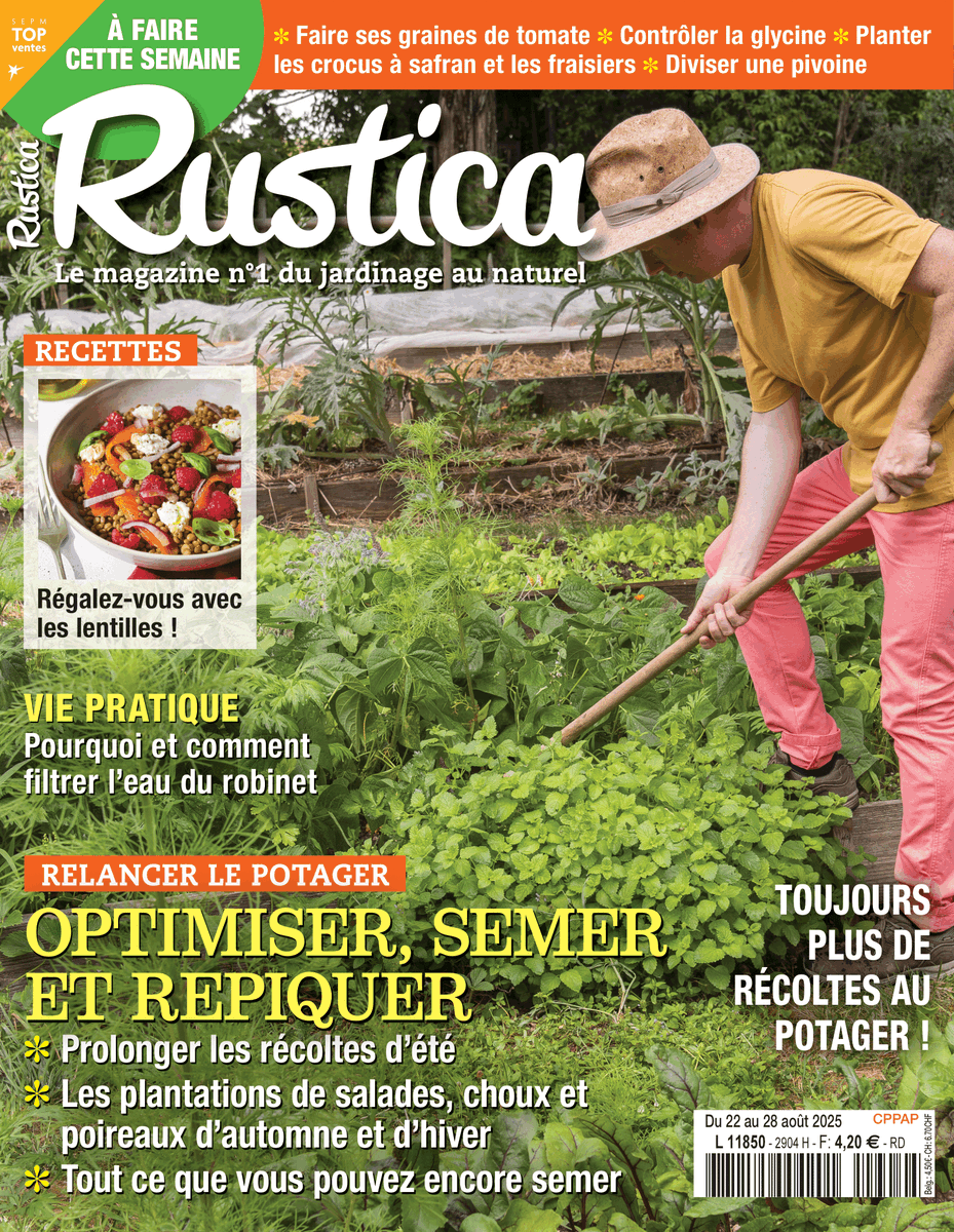 alaindelavie's tweet photo. [En kiosque] Du 22 au 29 août 2025, hebdomadaire #Rustica
Carnet 32 pages : Semer ou planter pour retrouver un beau jardin avec un minimum de soins
+ Semis et plantations pour relancer le potager en fin d'été
#jardinage #presse #magazine #hebdo #potager
https://t.co/U8erY3SPow https://t.co/L1razIRb4X