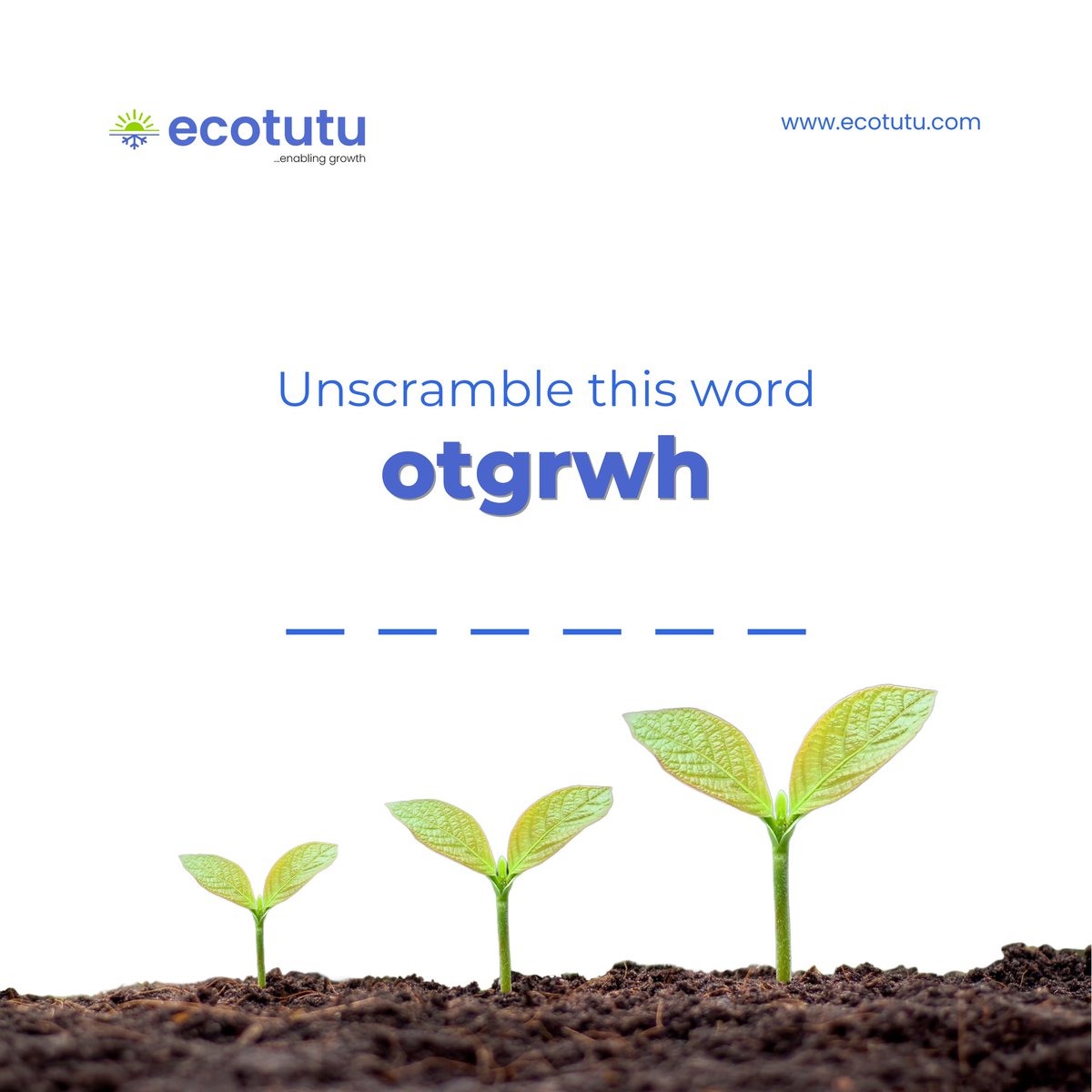 ecotutu's tweet image. Can you crack this?
Unscramble the word “otgrwh” and drop your answer in the comments! 👇

Hint: It’s something Ecotutu is passionate about enabling every single day for farmers, businesses, and communities. 

Let’s see how fast you can solve it! 

#EnablingGrowth #Foodsecurity