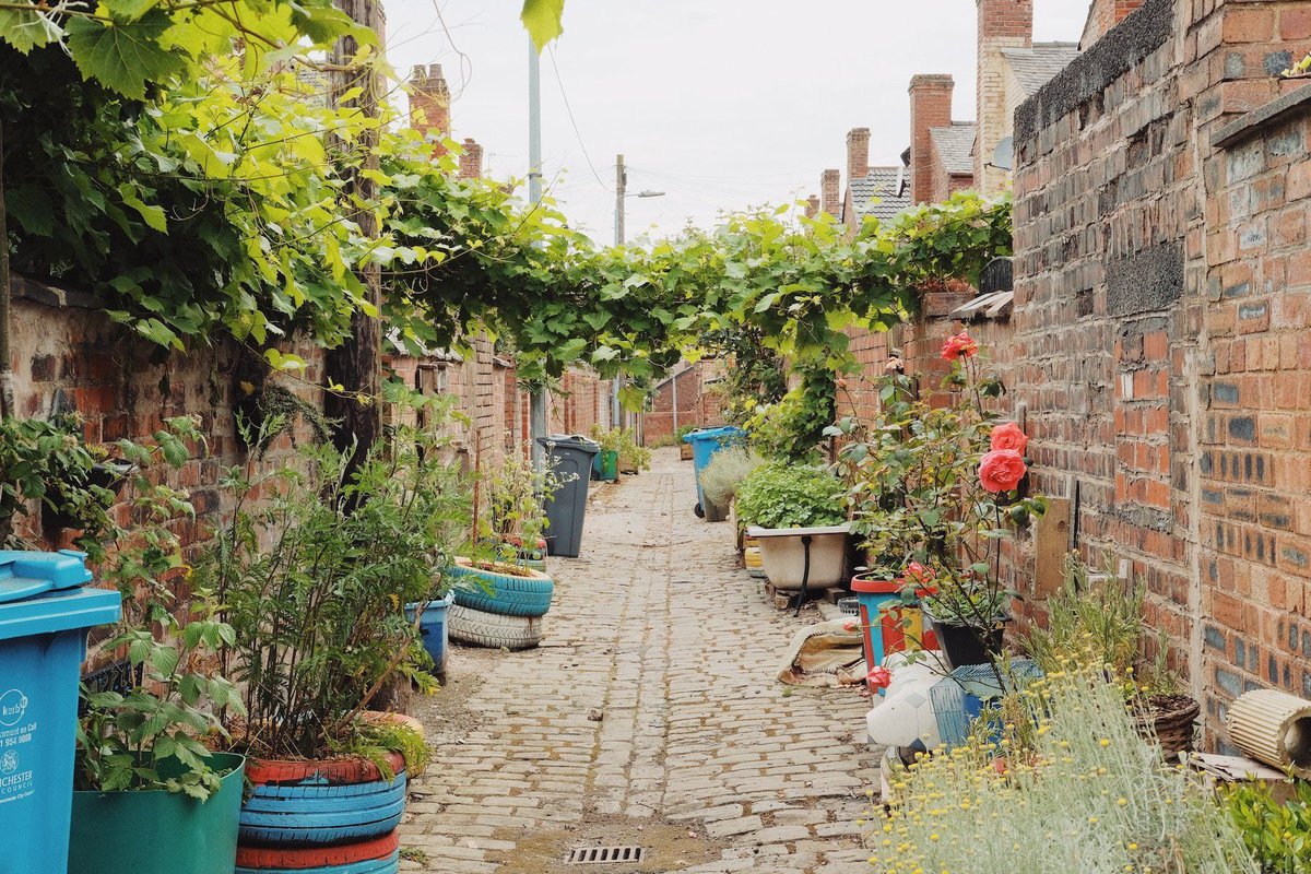 A Project for the start of the New School Year. 

Pollinator Pathway Project creates pollinator friendly corridors throughout Bristol. pollinatorpathways.co.uk

It is a community-led, volunteer-run project.

#biodiversity #education #wildlife #nature #environment #climateaction