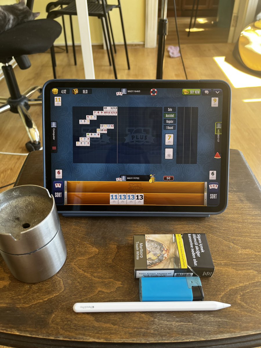 ipad alacam ipad alacam diye tepindikten sonra alınca yaptığım aktiviteler