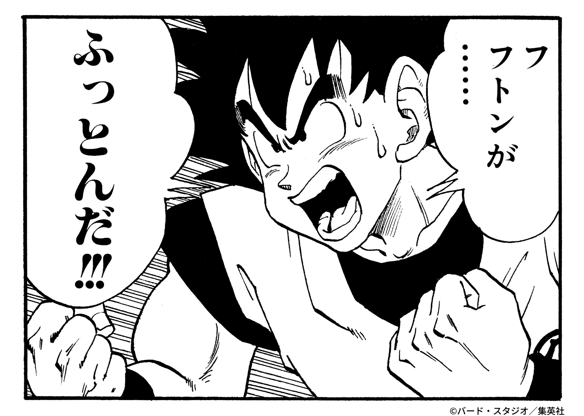 毎日サタンカレンダー　24名限定　ドラゴンボール　公式twitterキャンペーン ドラゴンボールオフィシャル 毎日サタンカレンダー 24名限定