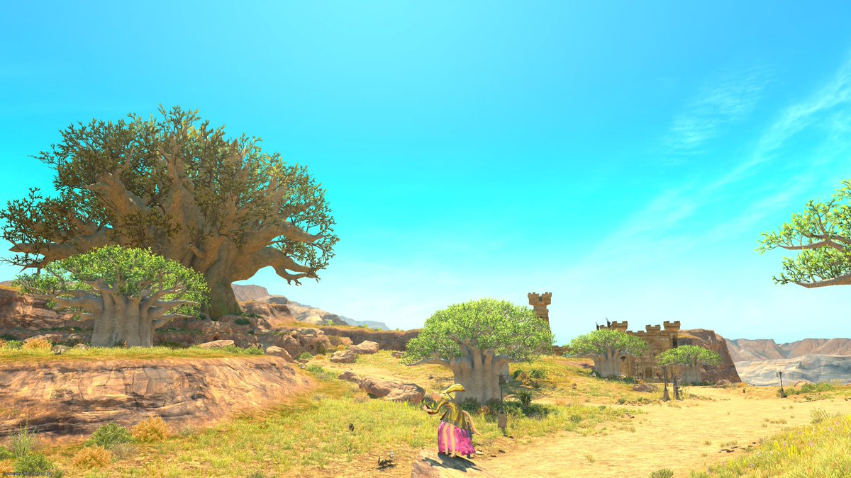 #横丁メンバー紹介2025
#ぼんばや横丁
「あふろ」
ザナラーンに吹く風が呼んでる。いつか聞いたようなあの声が。

◯◯◯ーーーーーーーーーー！！！！！

今は見えない、それでも確かに気配は存在している。
あれらの木々が微かにだが、かの者を思い起こさせるのか。