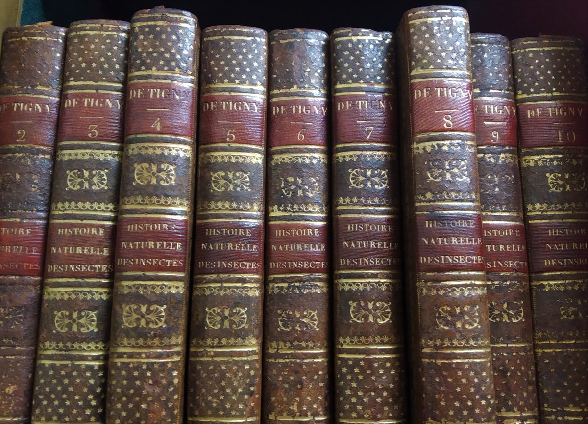 📖 Last chance to get your application in to be a <a href="/RoyEntSoc/">Royal Entomological Society</a> Library Committee member. The deadline is today!⏰

Help preserve &amp; promote their historic collections, &amp; maintain the library as an up-to-date resource.

For details ⬇️
royensoc.co.uk/opportunities/…

Deadline: 22 August 2025