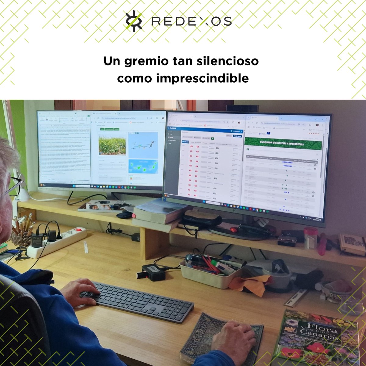 Hoy queremos acordarnos de esas personas expertas, que identifican y priorizan los reportes de RedEXOS. Sin ellas no podría funcionar nuestra Red. Gracias validadores, por perseverar en una labor tan abnegada, silenciosa e invisible <a href="/EcologicaGobCan/">Transición Ecológica y Energía</a> <a href="/gesplansa/">Gesplan</a>