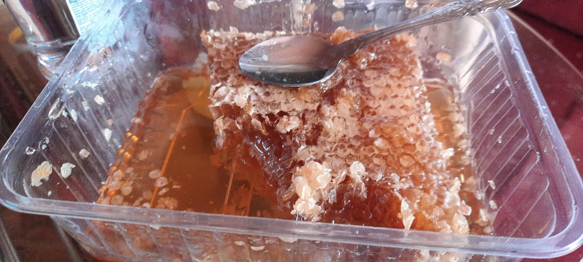 Знакомые вчера подогнали мёд в сотах с собственной пасеки и ещё несколько литров без сот. Сижу, заедаю водку мёдом.  😙