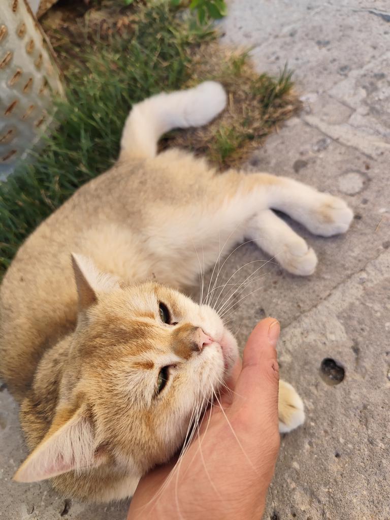 Ladyyy0206's tweet image. Böyle de güzel sevdirilmez ki 😻😻
Güzel bir #cuma olsun 
Mutluluklar getirsin 🎉
#HayırlıCumalar #22agosto