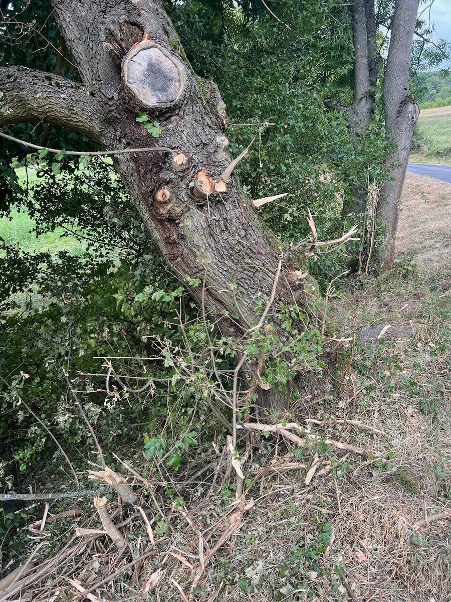 Jan Tománek tweet media