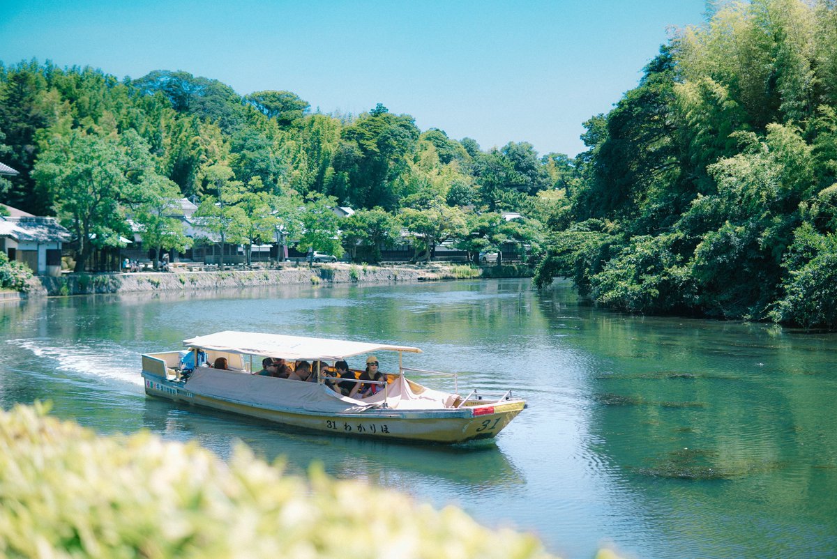 🌿松江の夏の風景📷🌿
国宝松江城のお堀をめぐる
#堀川遊覧船

船でのんびり揺られながら
ゆったりと城下町の風情を感じられる
一周約50分の船旅です🛥
夏に船に付く風鈴の音も涼やか🎐

⛴ぐるっと松江堀川めぐり
▶matsue-horikawameguri.jp