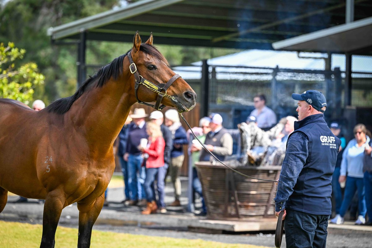 Great day at Kitchwin Hills today for our annual stallion parade. A great crowd on hand for a lovely relaxed lunch and #Graff looked a picture ! <a href="/BreednetNews/">Breednet</a> <a href="/TTRAusNZ/">TTR AusNZ</a> <a href="/anz_news/">ANZ News</a> <a href="/TheStraightonX/">The Straight | Racing. Wagering. Breeding.</a>