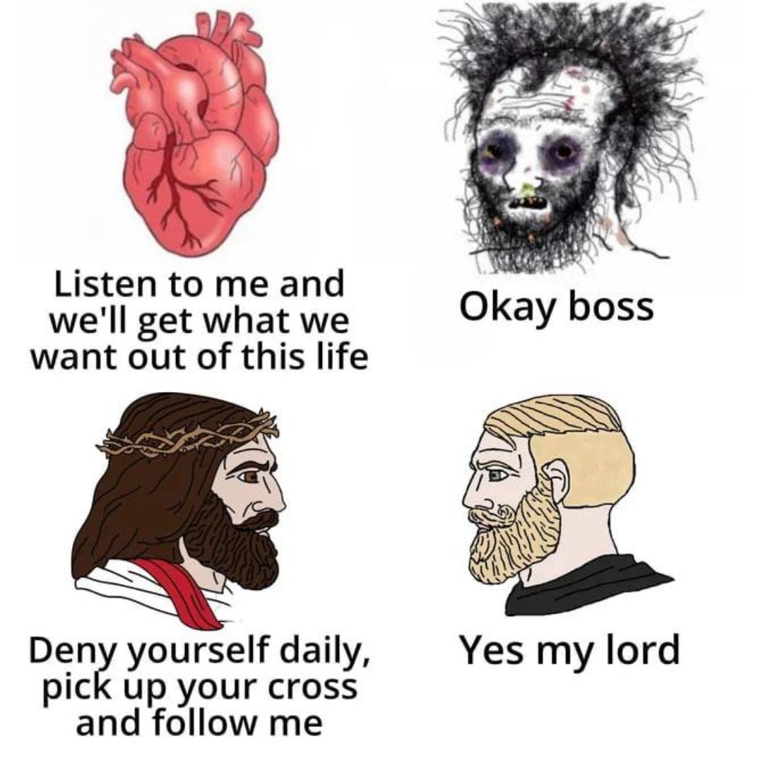 Trad West tweet media