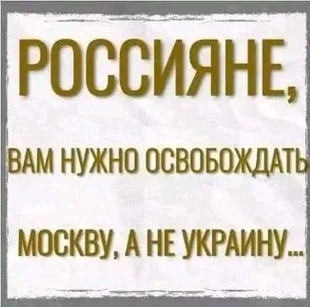 AndreySmetanen6 tweet picture
