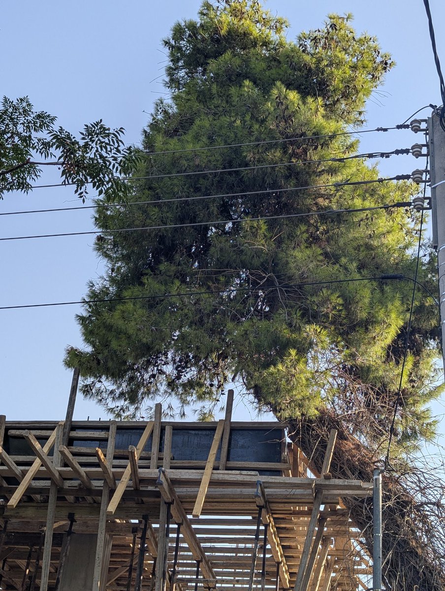 Alex Kampas ⚛️ 🪐🚀🌌in 🏴󠁧󠁢󠁷󠁬󠁳󠁿 tweet media