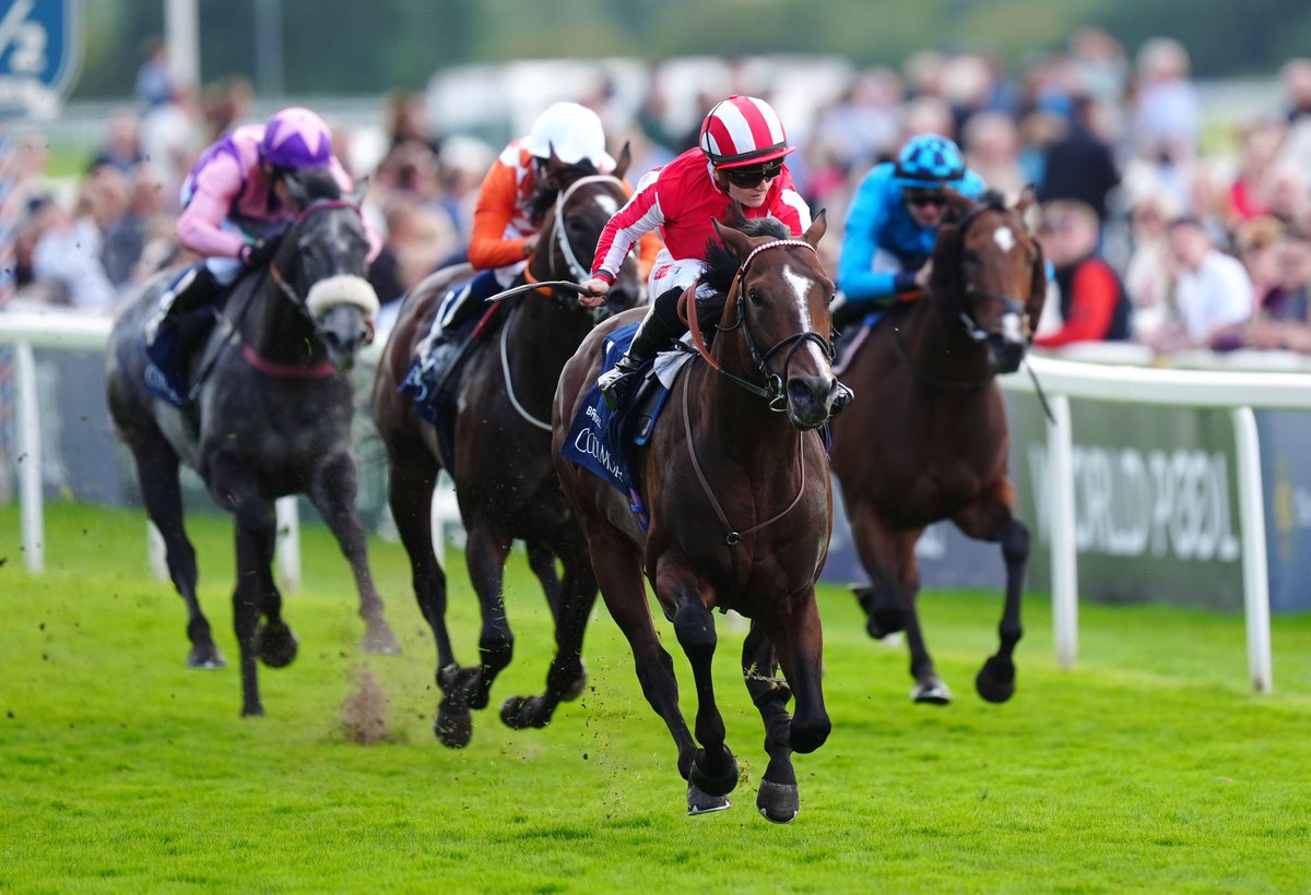 NatStudStallion's tweet photo. Bradsell 1 year on from winning the Nunthorpe❤️

He was the 𝗳𝗶𝗿𝘀𝘁 colt to win the Nunthorpe since 2007 and clocked a faster time in the race than Battaash did when winning in 2020!

#Bradsell #NSstallions #Nunthrope #Group1 #ChampionSprinter #York #Ebor https://t.co/B3FvXvSELu