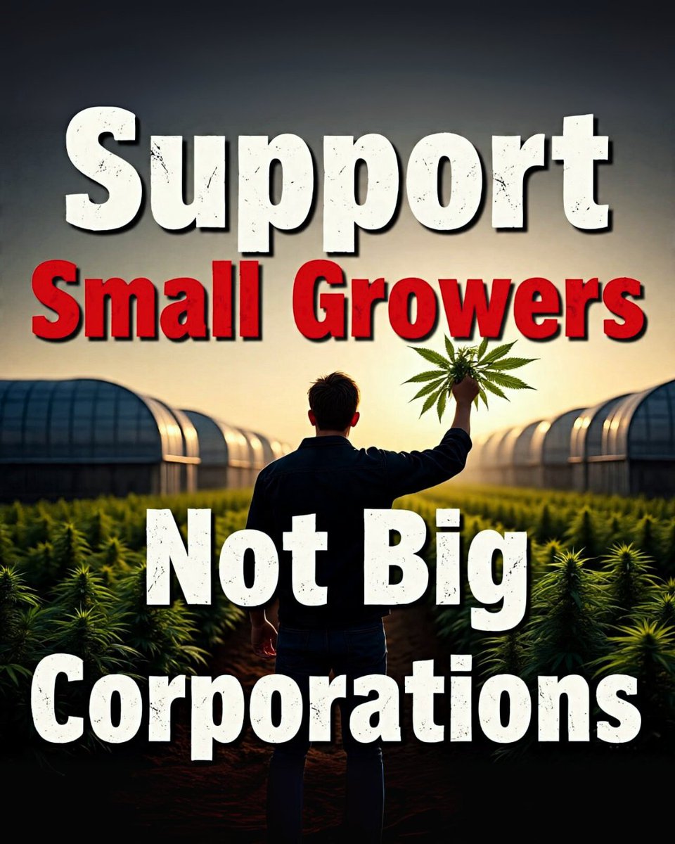 chha2020's tweet photo. Support #SmallGrowers, not Big Pharma! The plant belongs to the people. Descheduling cannabis is the only way to ensure #FreedomToGrow & level the playing field for local entrepreneurs. Rescheduling only empowers corporations, not communities. #DescheduleCannabis #ZeroNotThree https://t.co/Q8G6tF937p