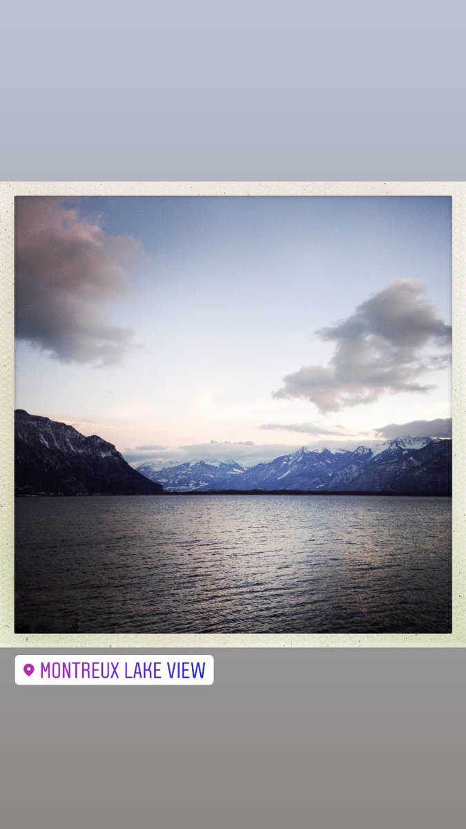 David Fitzsimons tweet media