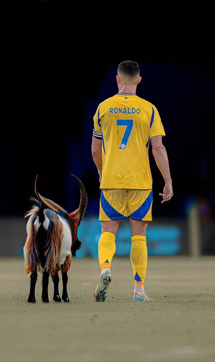 No caption needed 🐐