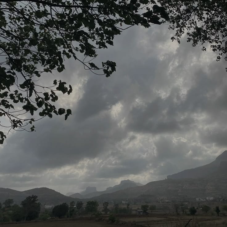 how pinterest sees me!?!!

character 
animal  
lyrics  
weather
OMG JINX YESS idc about the dad part like i have him LMAO