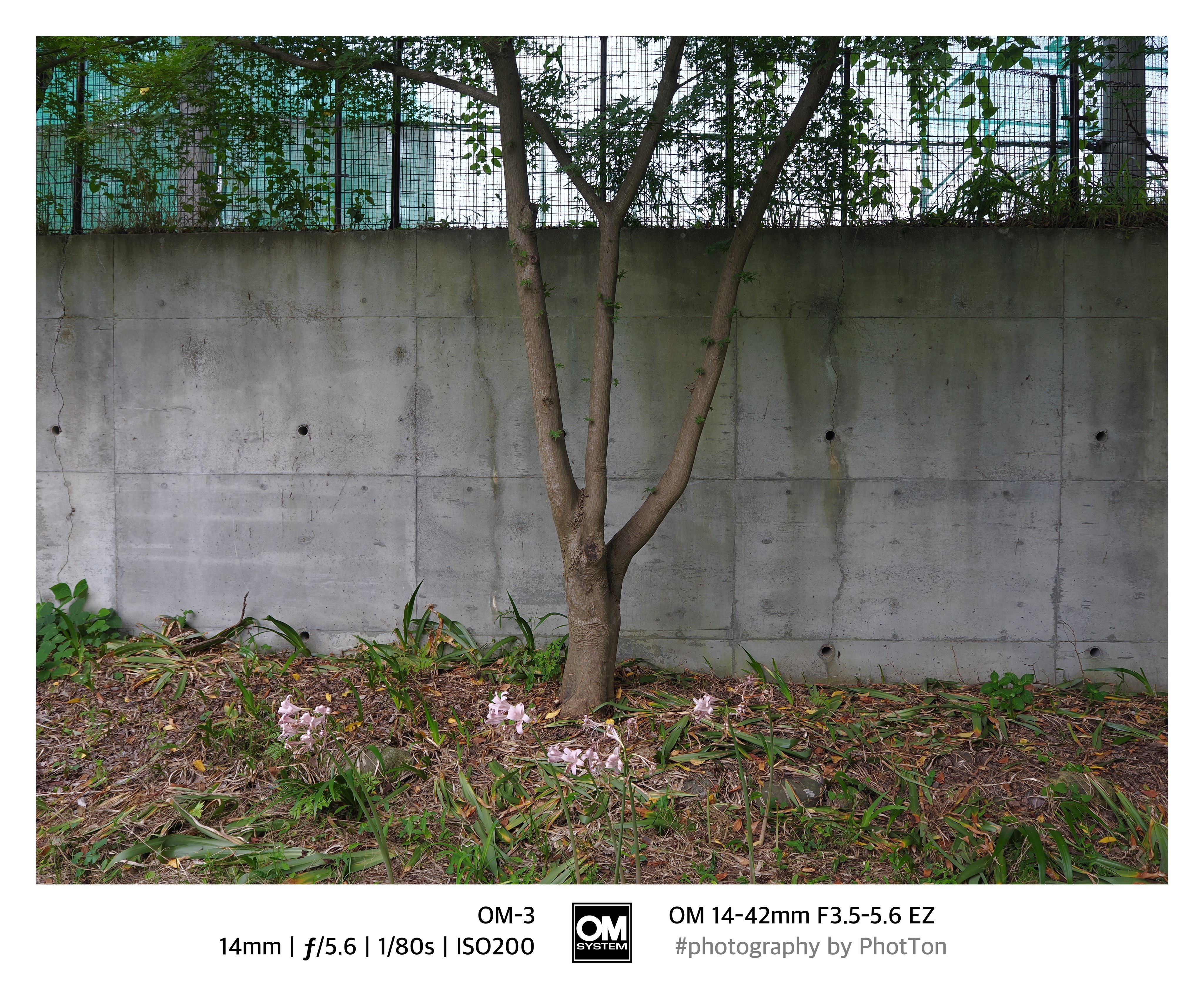 Ashes and snow 写真集　未開封　デッドストック 2025年最新】ashes and snowの人気アイテム - メルカリ