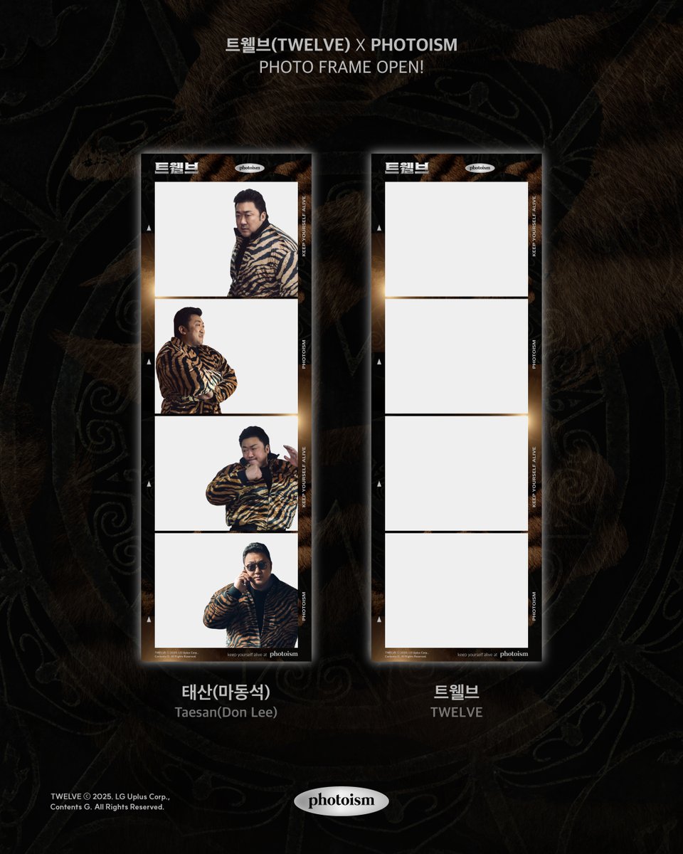 ミュージシャン 写真 30枚セット PHOTOISM X TWELVE ARTIST FRAME OPEN ! 「TWELVE」 のアーティスト